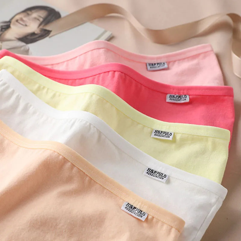 3Pc Set Candy Color Cotton Undergarments