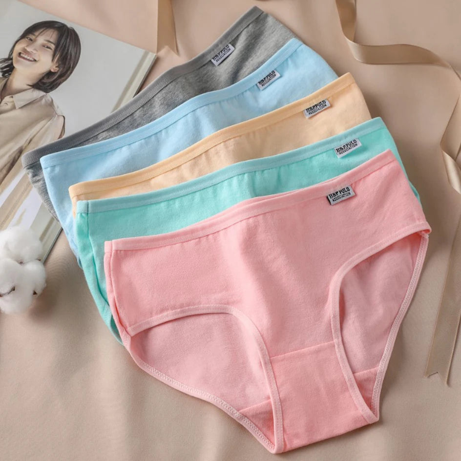 3Pc Set Candy Color Cotton Undergarments