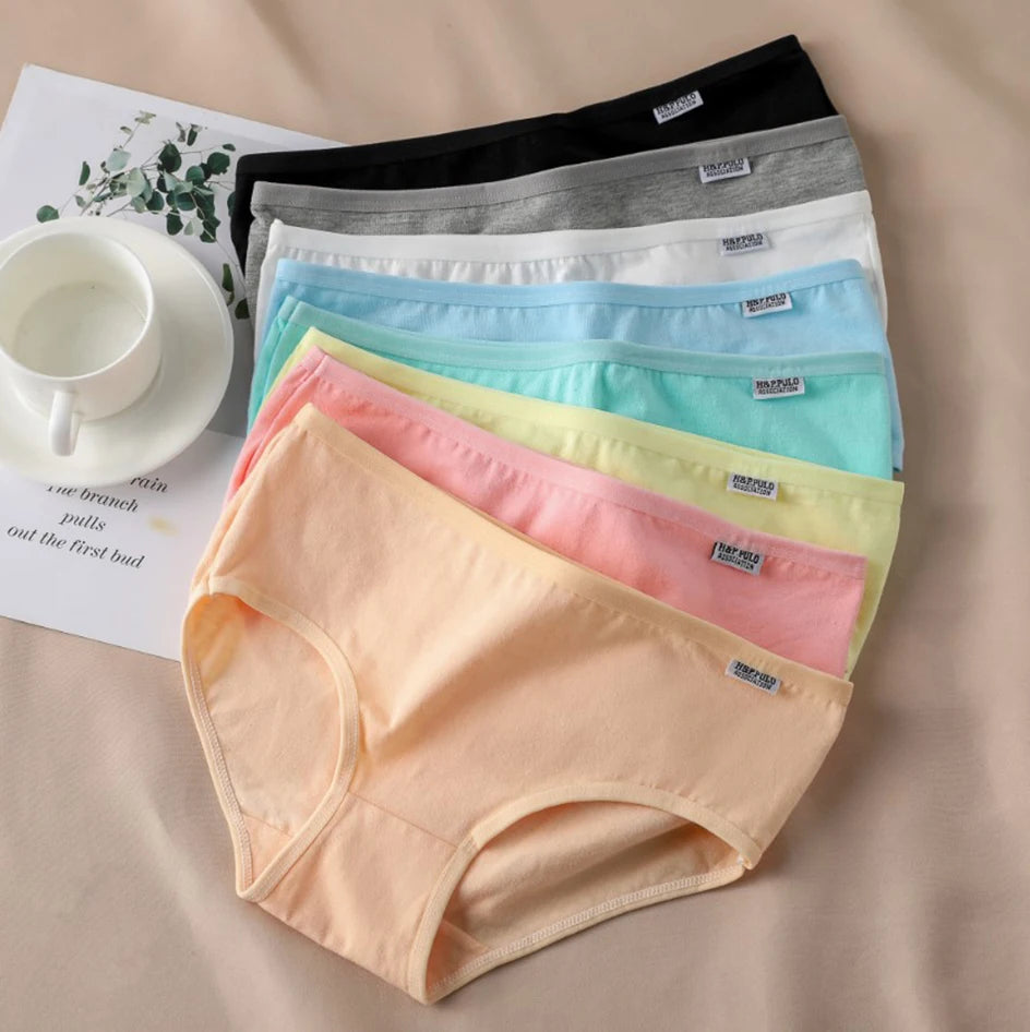 3Pc Set Candy Color Cotton Undergarments