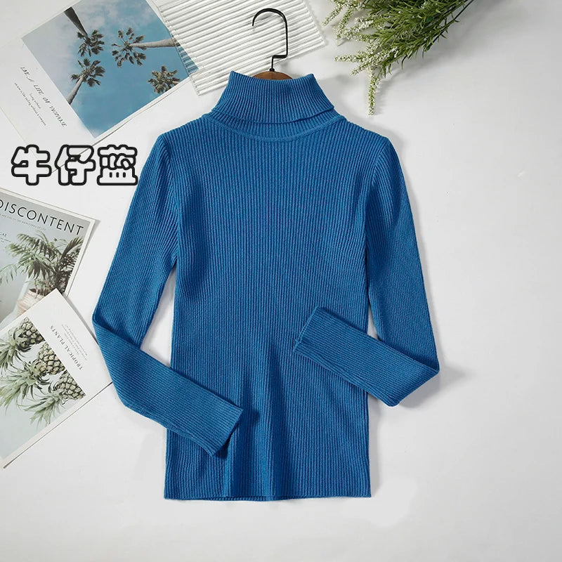 Women's Casual Turtleneck Knit Sweater