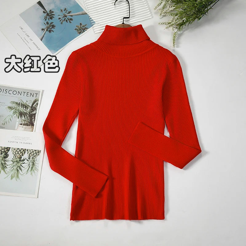 Women's Casual Turtleneck Knit Sweater