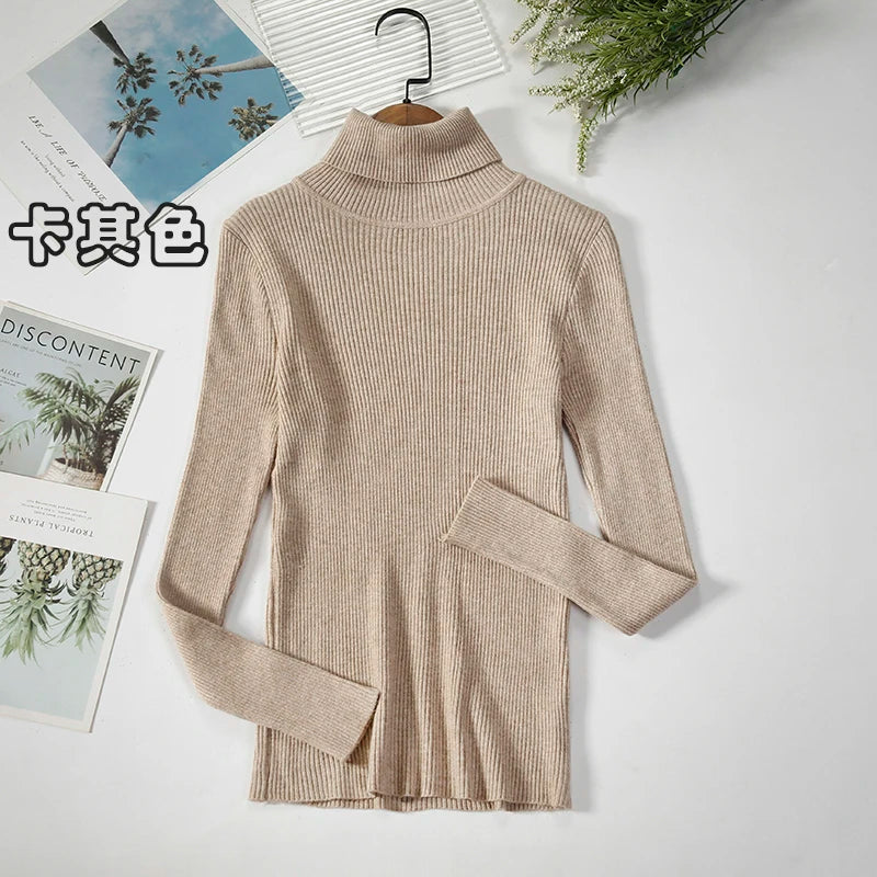 Women's Casual Turtleneck Knit Sweater