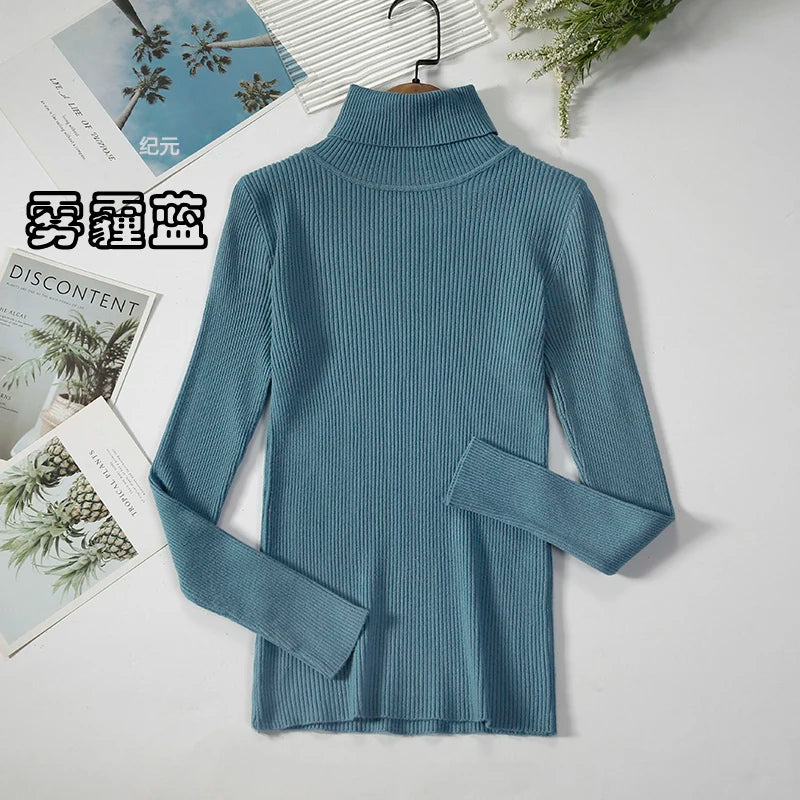 Women's Casual Turtleneck Knit Sweater