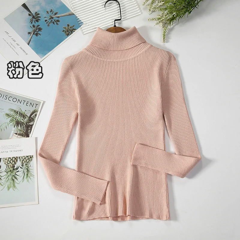 Women's Casual Turtleneck Knit Sweater