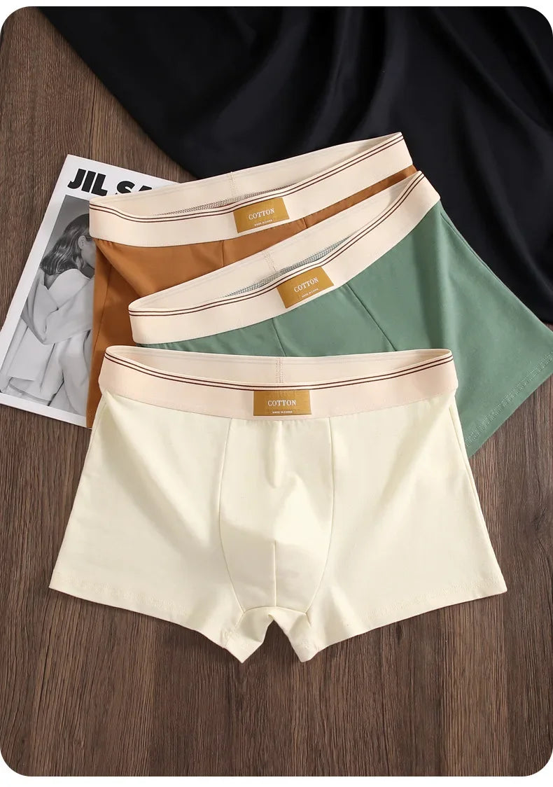 3Pc Luxury Men's Breathable Cotton Boxer Shorts