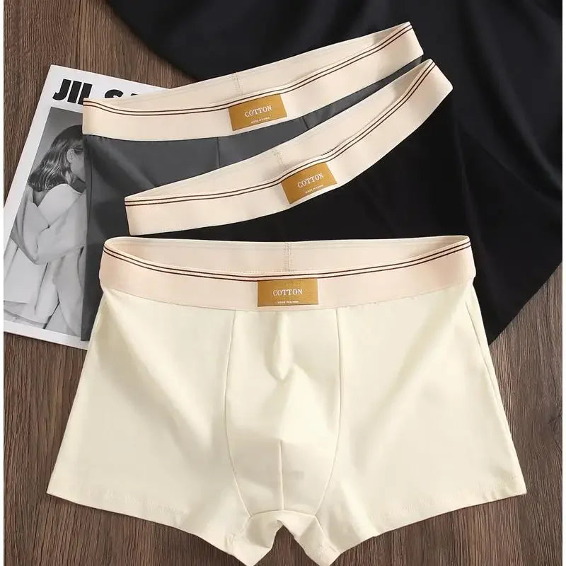 3Pc Luxury Men's Breathable Cotton Boxer Shorts