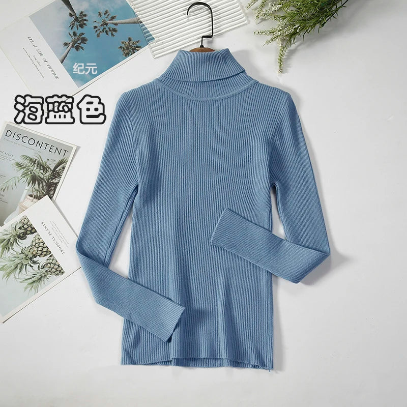 Women's Casual Turtleneck Knit Sweater