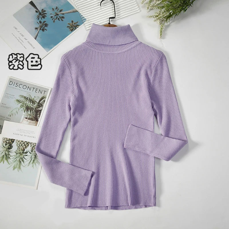 Women's Casual Turtleneck Knit Sweater