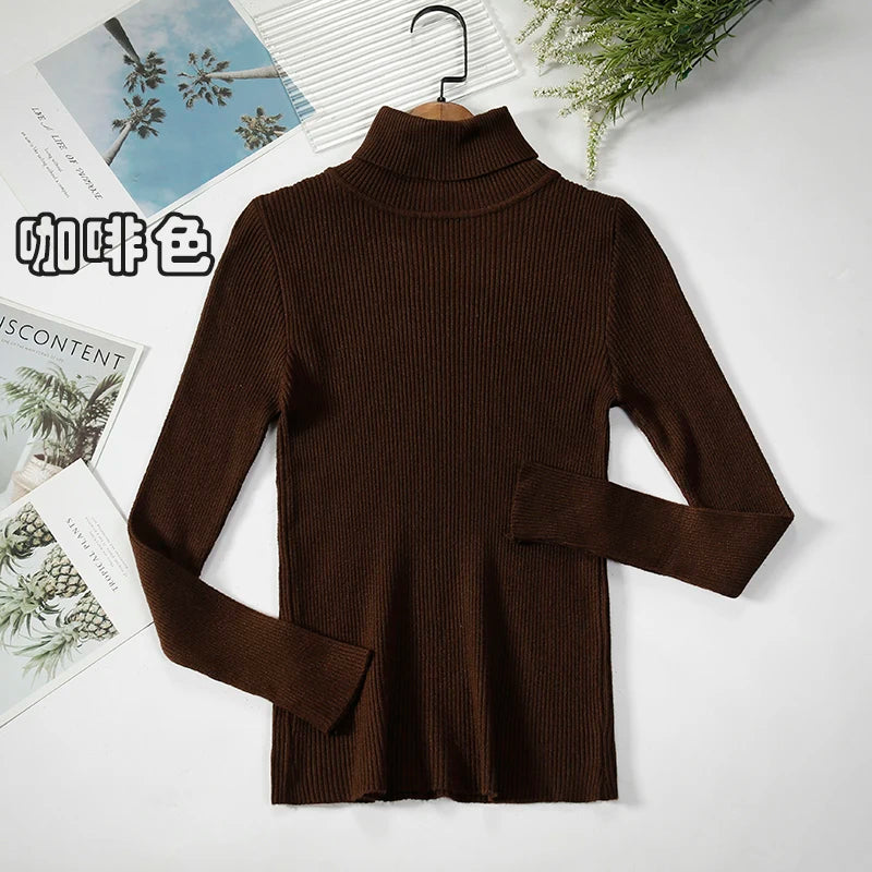 Women's Casual Turtleneck Knit Sweater