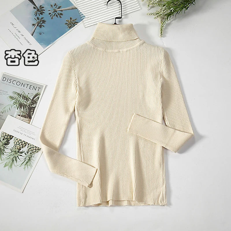 Women's Casual Turtleneck Knit Sweater