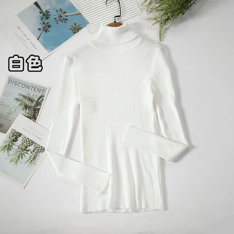 Women's Casual Turtleneck Knit Sweater