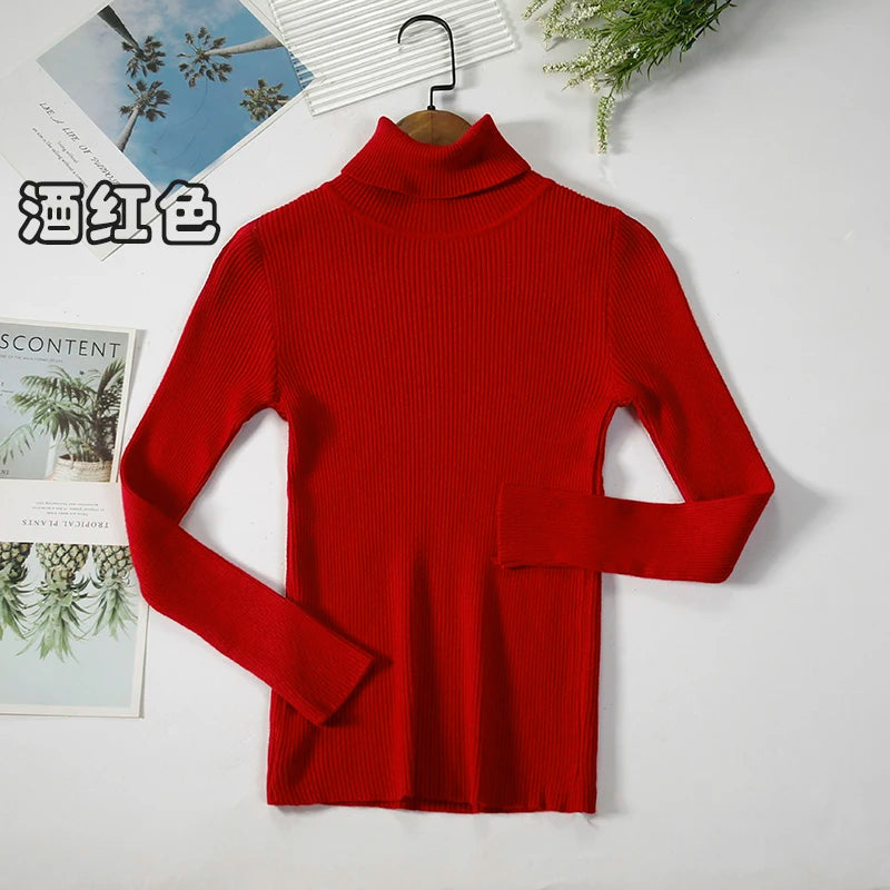 Women's Casual Turtleneck Knit Sweater