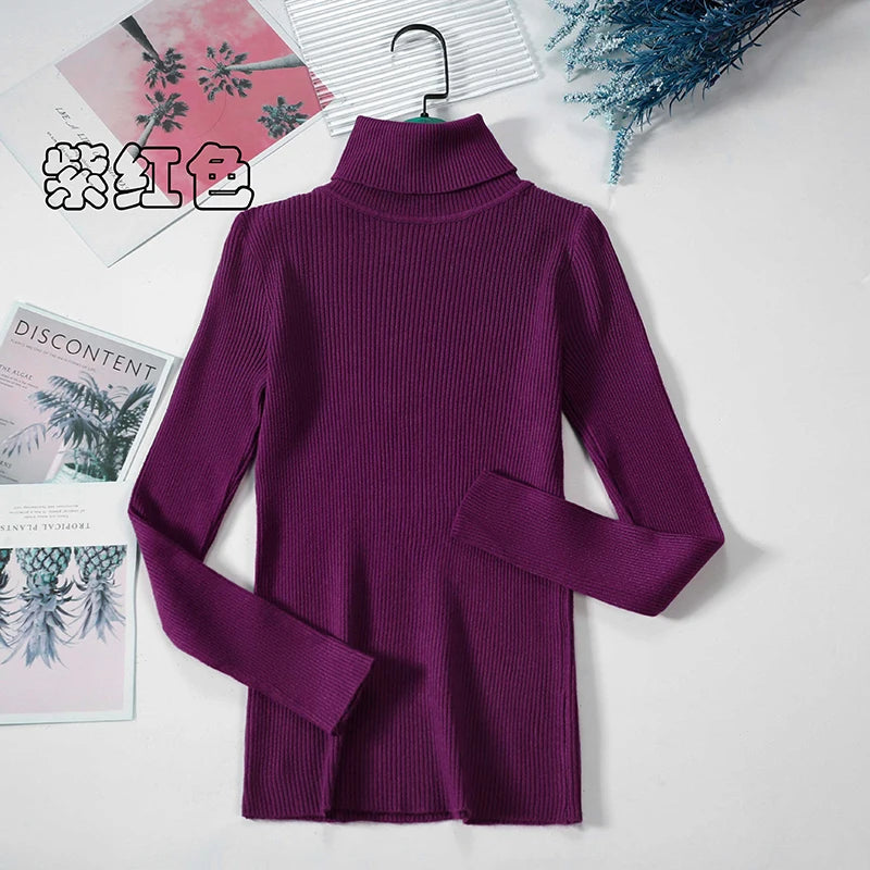 Women's Casual Turtleneck Knit Sweater