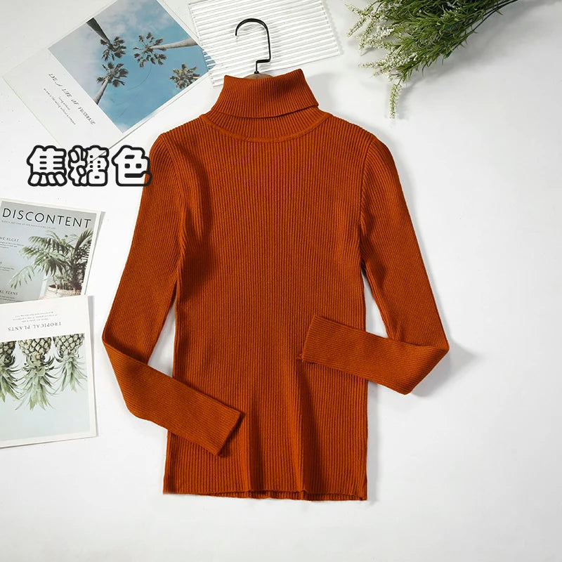 Women's Casual Turtleneck Knit Sweater