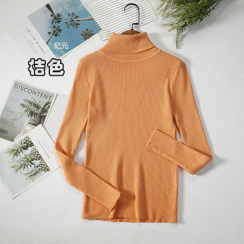 Women's Casual Turtleneck Knit Sweater