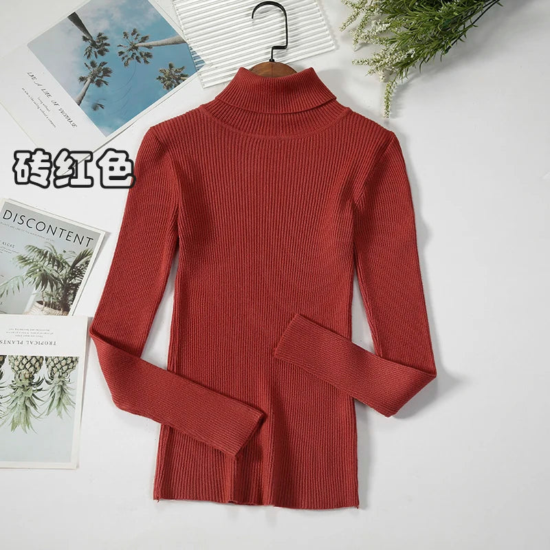 Women's Casual Turtleneck Knit Sweater