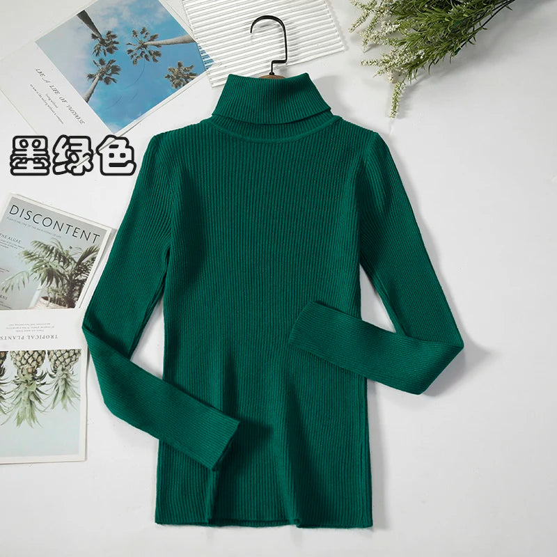 Women's Casual Turtleneck Knit Sweater